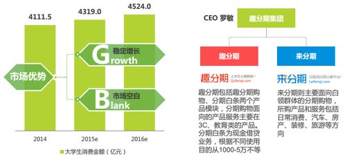 分期電商市場深度調研 現狀、機遇與挑戰